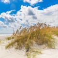 Discover the Best Beaches on Amelia Island