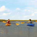 Exploring the Adventurous Side of Amelia Island: Kayaking and Paddleboarding