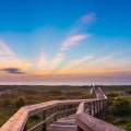 Exploring the Natural Wonders of Amelia Island