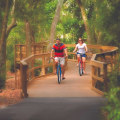 Exploring the Beauty of Amelia Island: Scenic Drives and Bike Trails