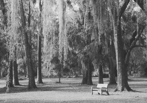 Exploring the Haunted Side of Amelia Island