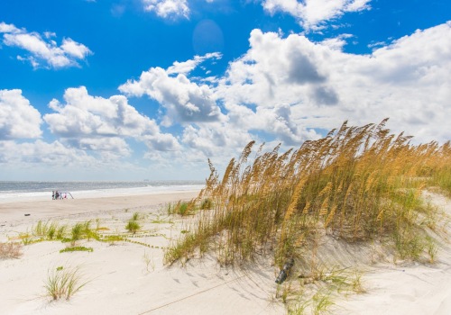 Discover the Best Beaches on Amelia Island